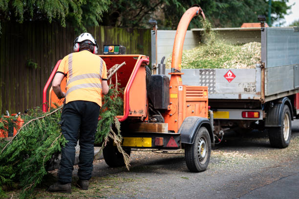  Weatherly, PA Tree Services Pros